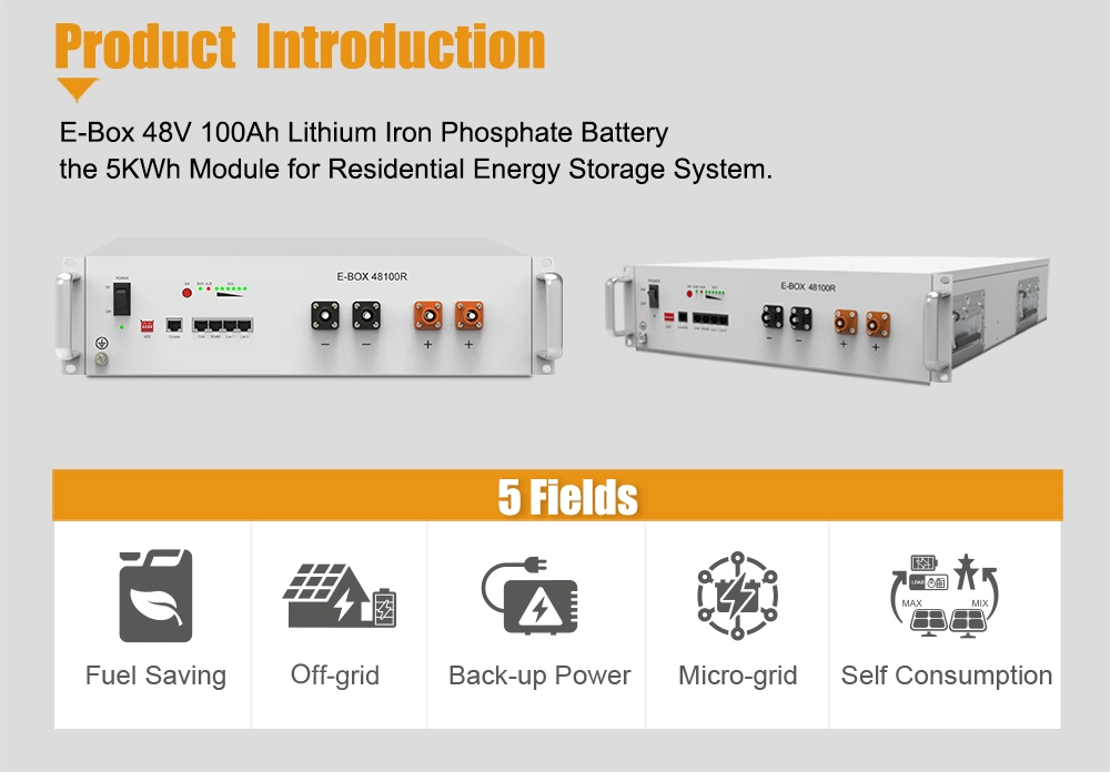 Factory Customized 48 V Lithium Batteries 100ah LiFePO4 Battery Module Energy Storage Battery for Electric Vehicles and Forklift Agv