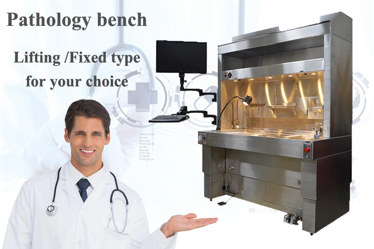 Ce Certificate Metal Dental School Lab Furniture Pathology Laboratory Pathology Workbench