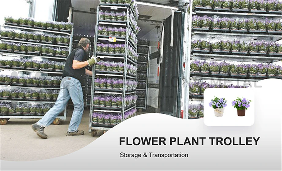 Horticultural Danish Flower Greenhouse Transport Mushroom Mobile Shelving for Sale